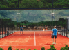 Brightly Colored Eye-catching Durable And High Quality Orange Artificial Turf Grass
