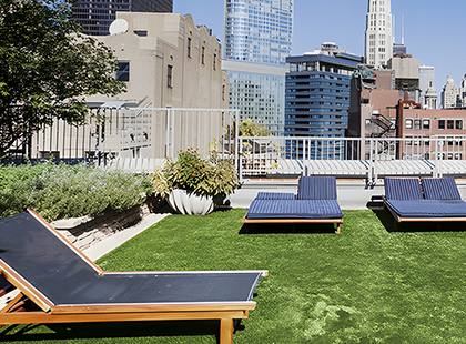 natural look of the artificial lawn