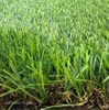 Artificial turf synthetic grass decorative grass suitable for cricket court outdoor turf