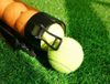 Tube Picker for Padel Ball / Tennis